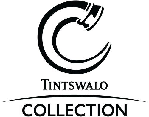 tintswalo collection logo