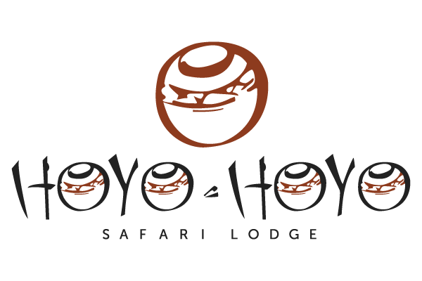 hoyo-hoyo-logo-colour